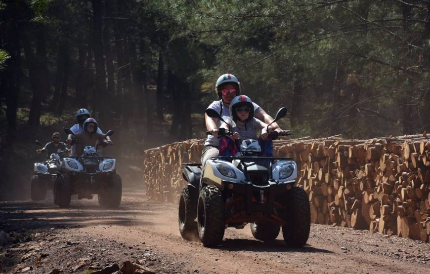 Side Quad Safari