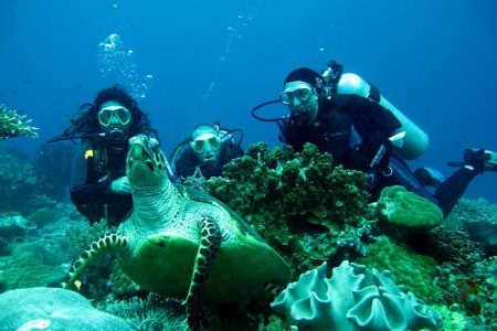 Fethiye Scuba Diving Tour