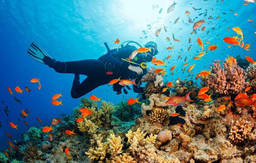 Fethiye Scuba Diving Tour