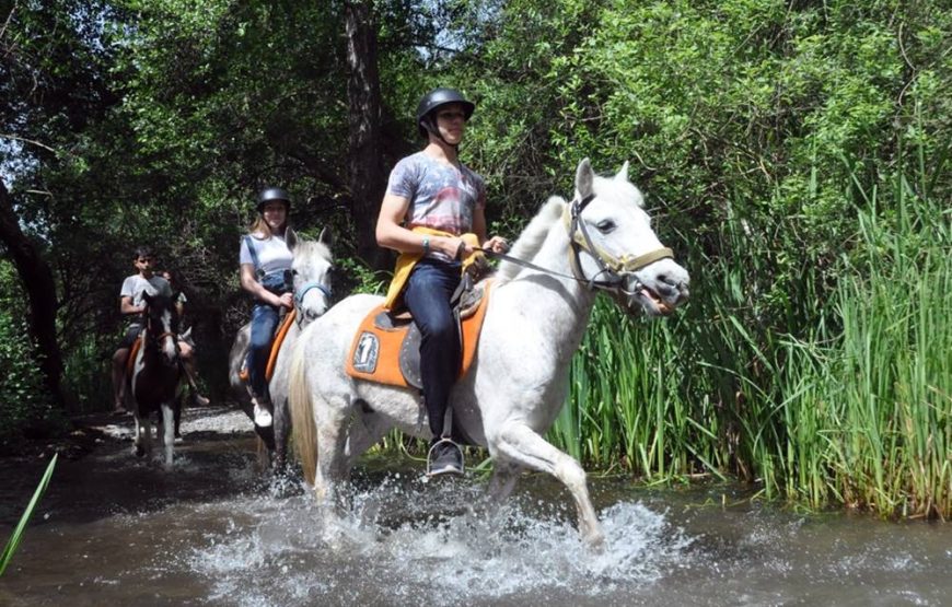 Marmaris Half Day Horse Riding Through The Rivers & Mountains