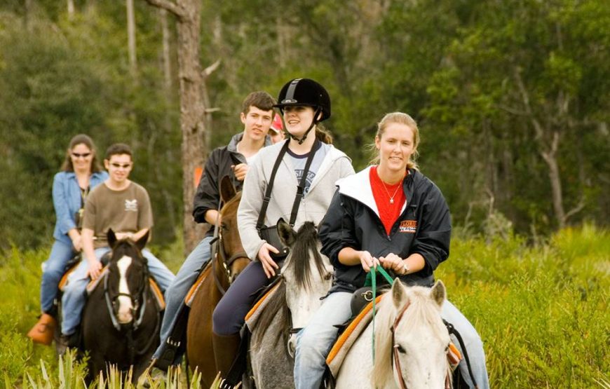 Marmaris Half Day Horse Riding Through The Rivers & Mountains