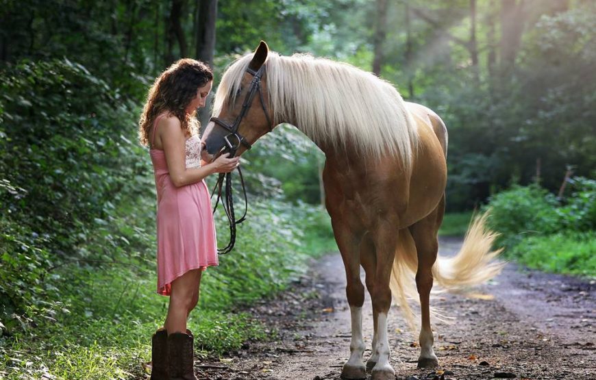 Marmaris Half Day Horse Riding Through The Rivers & Mountains