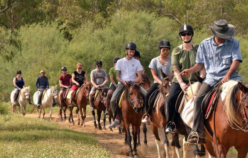 Marmaris Half Day Horse Riding Through The Rivers & Mountains