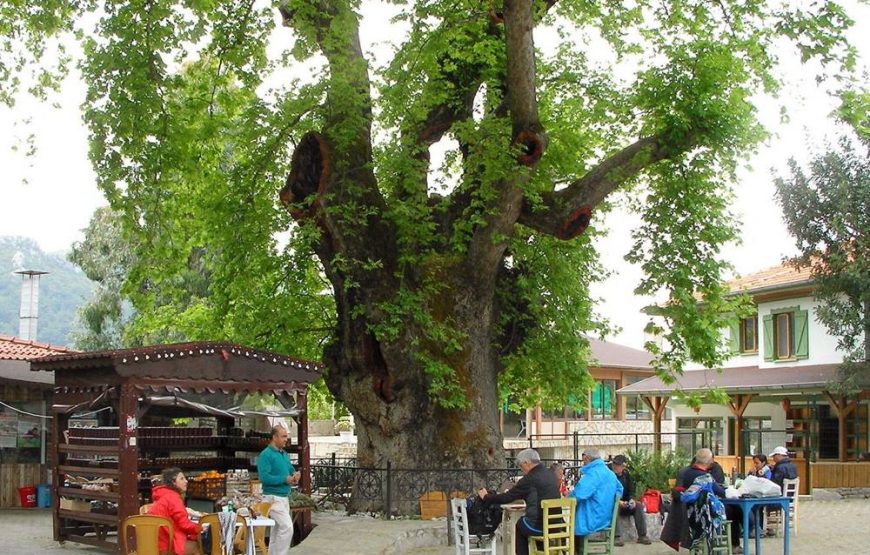 Marmaris Village Tour With Waterfalls & Visit Jesus Beach