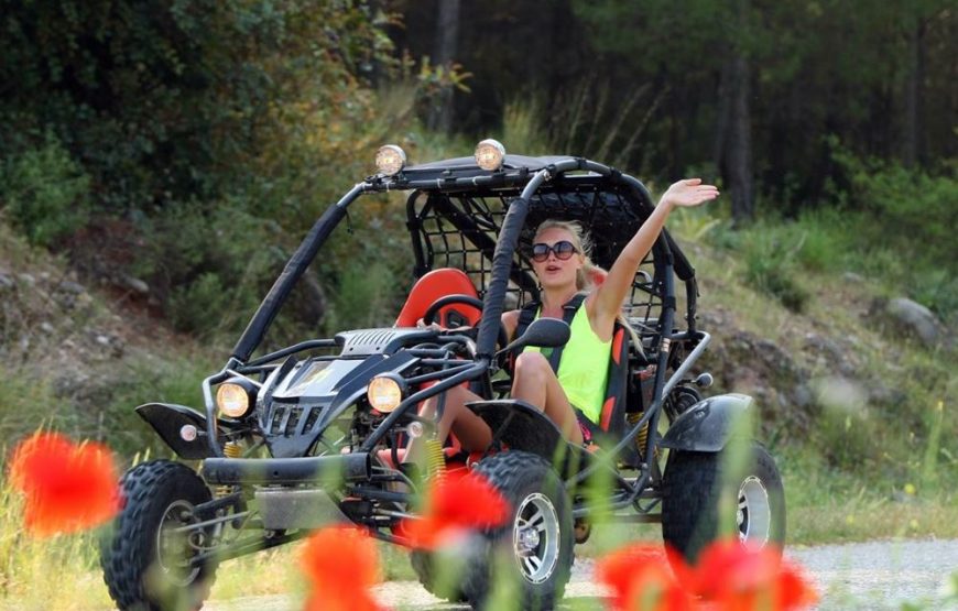 Side Buggy Safari