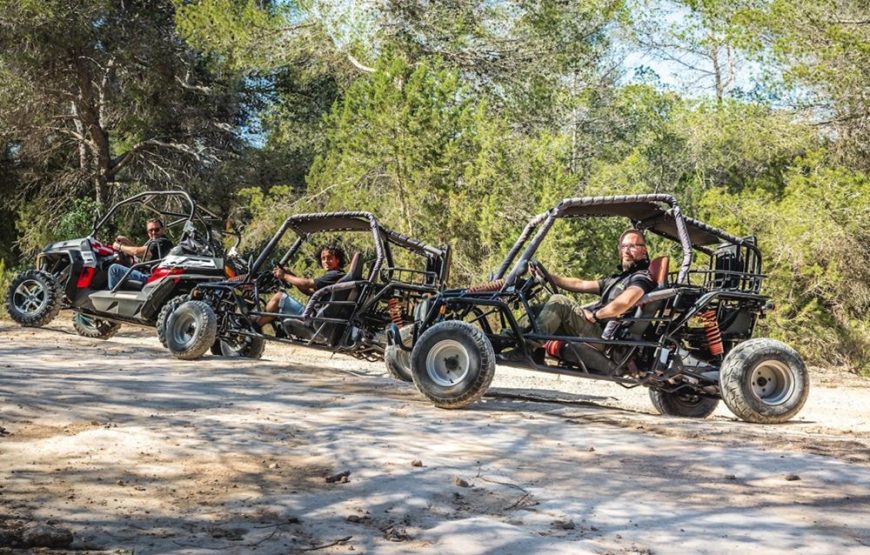 Side Buggy Safari