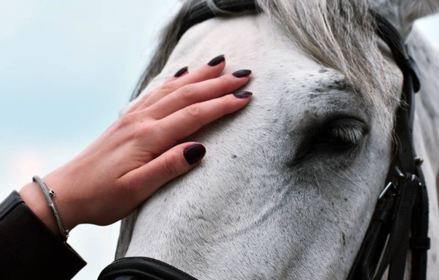 Side Horse Riding
