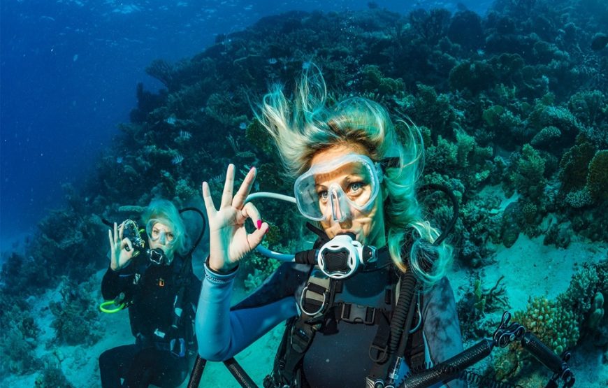 Antalya Diving Tour With Lunch And Transfer