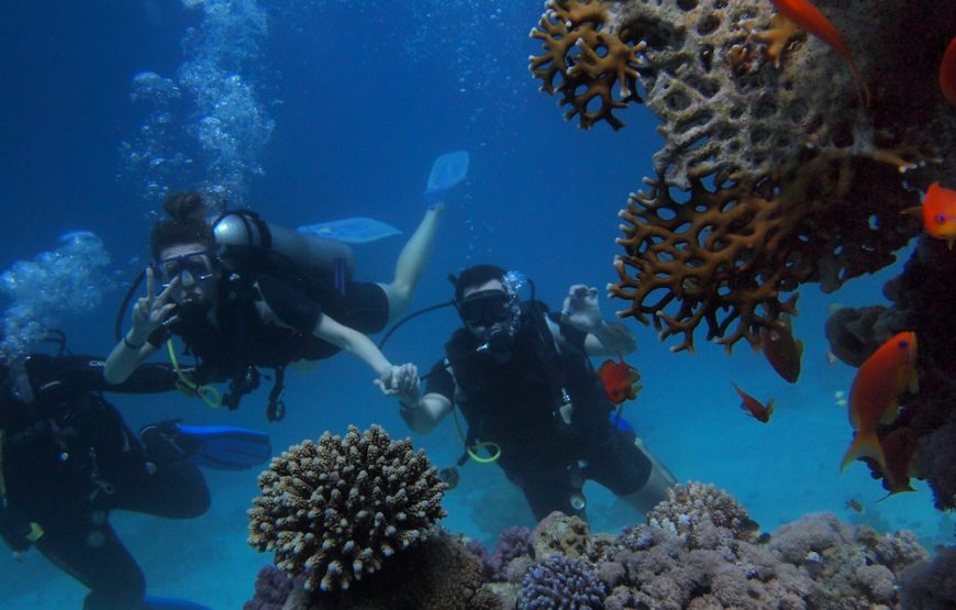 Antalya Diving Tour With Lunch And Transfer