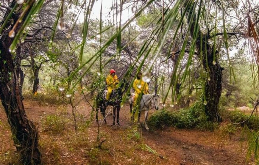 Antalya Horse Riding On Beach & The Forest