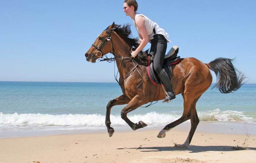 Antalya Horse Riding On Beach & The Forest