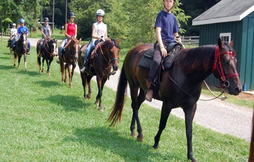 Antalya Horse Riding On Beach & The Forest