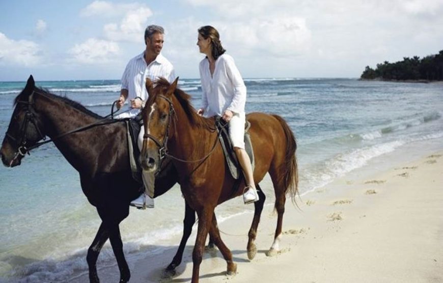 Antalya Horse Riding On Beach & The Forest