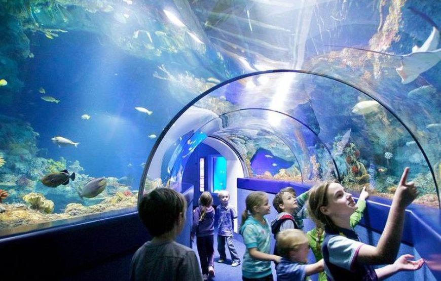 Antalya Aquarium Tour
