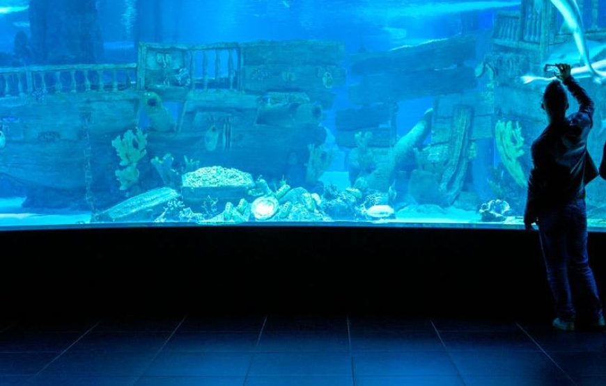 Antalya Aquarium Tour