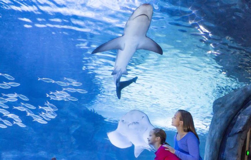 Antalya Aquarium Tour