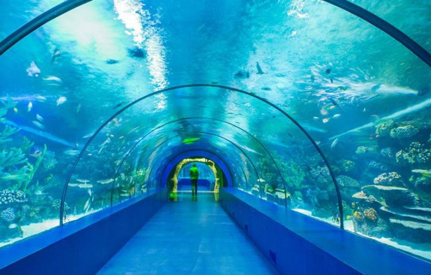 Antalya Aquarium Tour