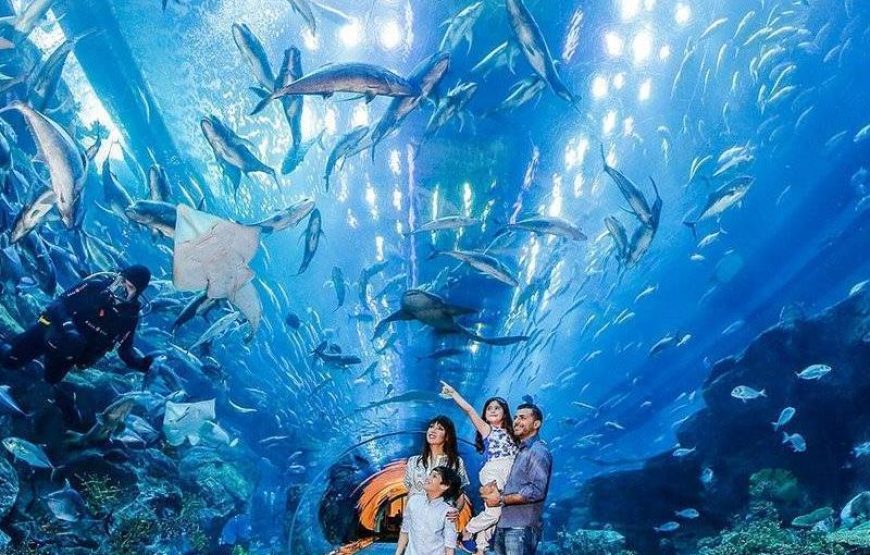 Antalya Aquarium Tour