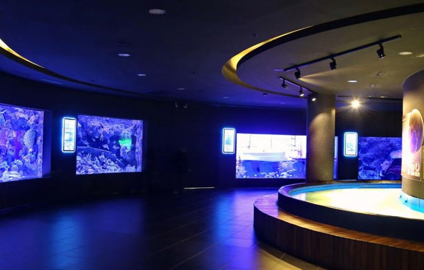 Antalya Aquarium Tour