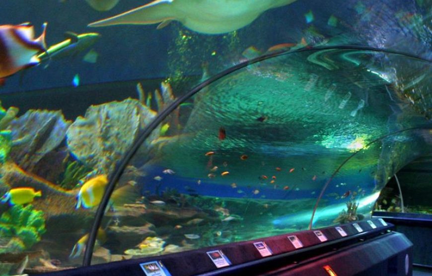 Antalya Aquarium Tour
