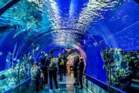 Aliway-Tour-Antalya-Aquarium-Tour-08