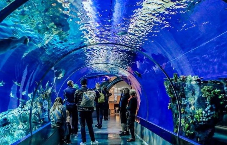 Antalya Aquarium Tour
