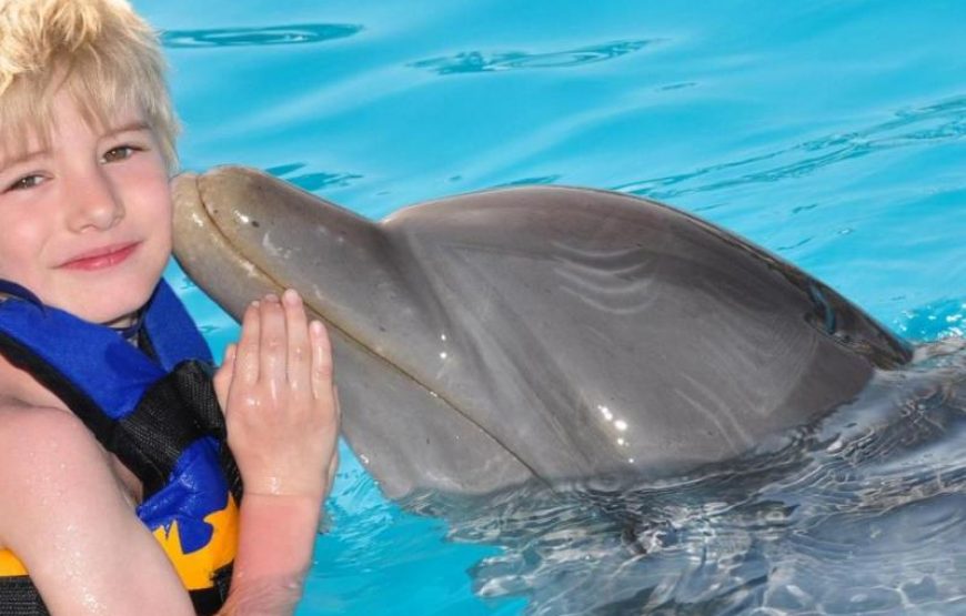 Antalya Swim With Dolphins