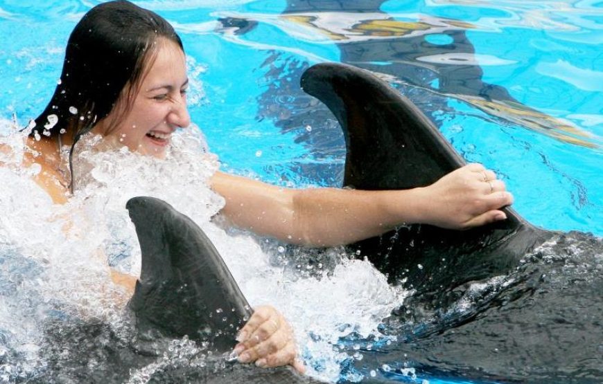 Antalya Swim With Dolphins