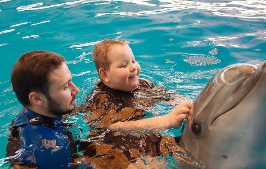 Antalya Swim With Dolphins