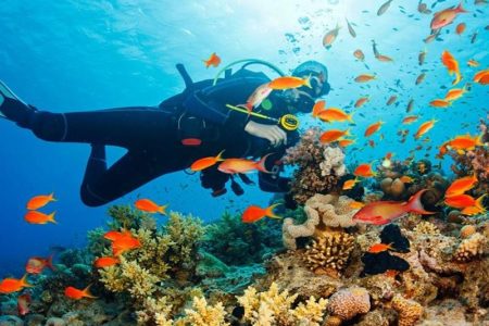 Aliway-Tour-Marmaris-Scuba-Diving-With-Two-Dives-03
