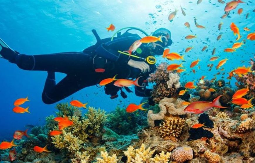 Marmaris Scuba Diving