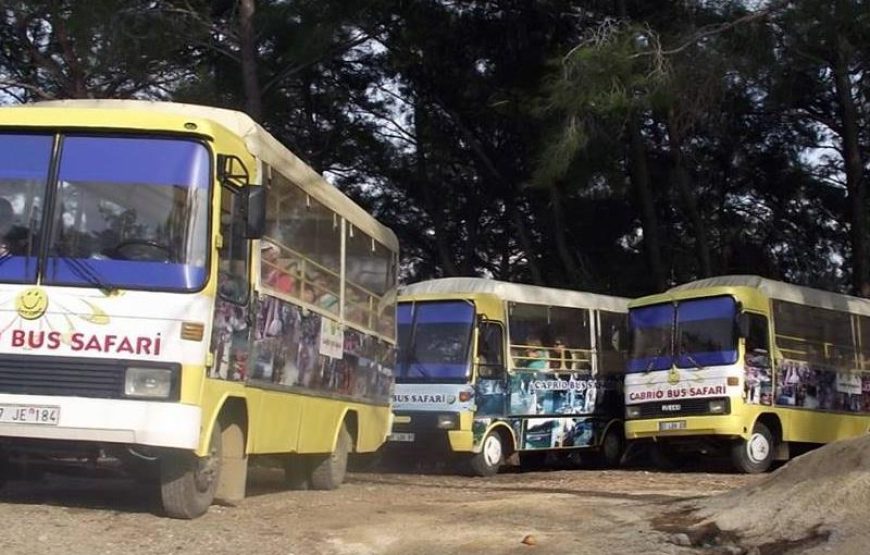 Side Cabrio Bus Safari