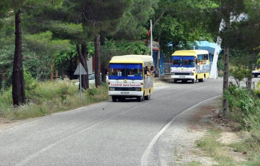 Side Cabrio Bus Safari