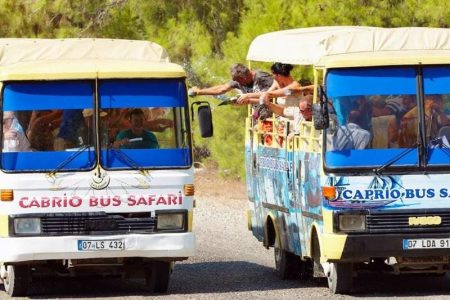Aliway-Tour-Side-Cabrio-Bus-Safari-07