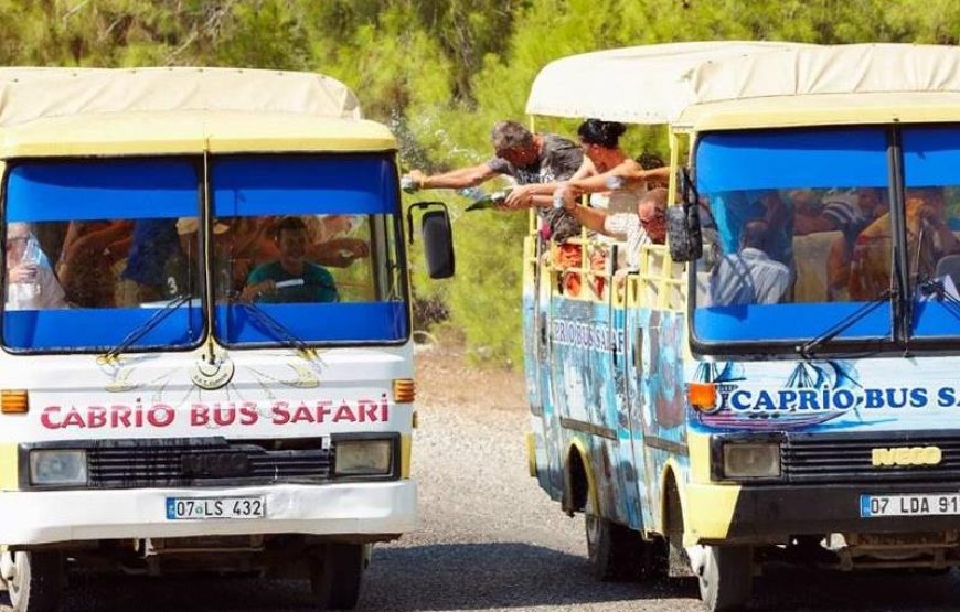 Side Cabrio Bus Safari
