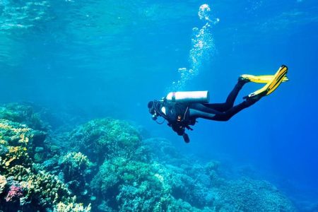 Aliway-Tour-Side-Scuba-Diving-Under-Water-Museum-04