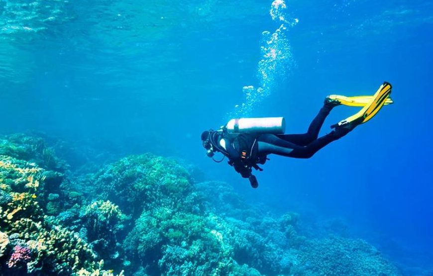 Side Scuba Diving & Under Water Museum
