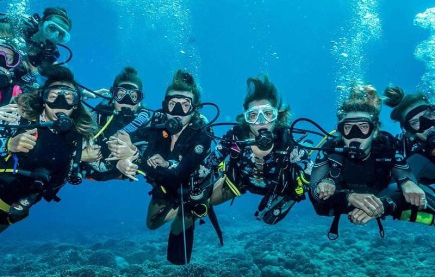 Side Scuba Diving & Under Water Museum