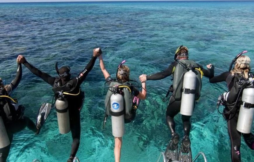 Side Scuba Diving & Under Water Museum