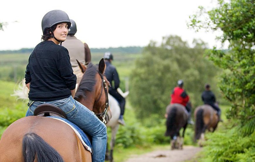 Fethiye Horse Riding