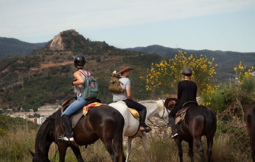 Fethiye Horse Riding