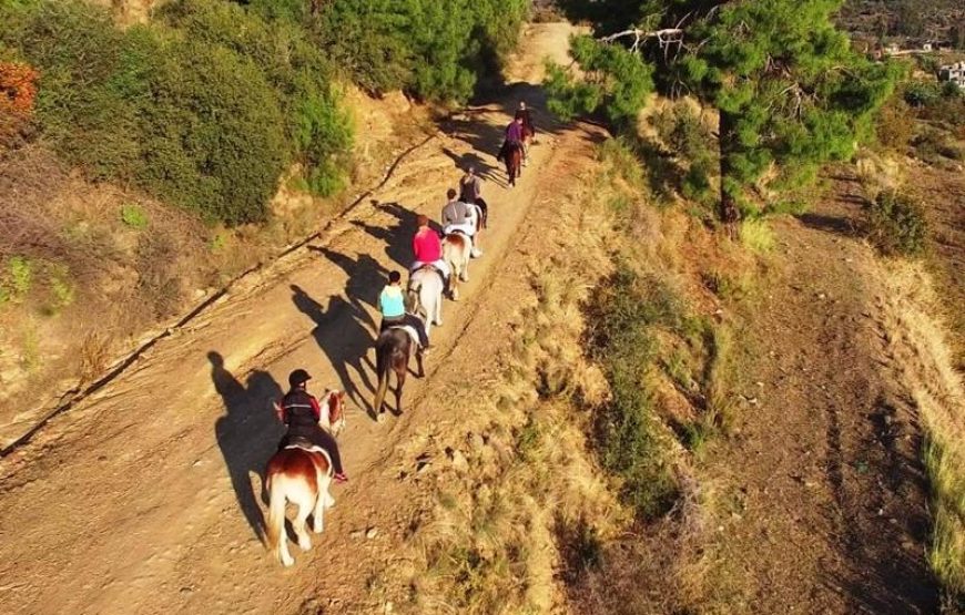 Fethiye Horse Riding