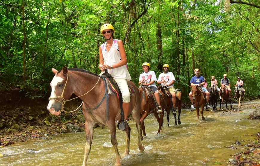 Fethiye Horse Riding