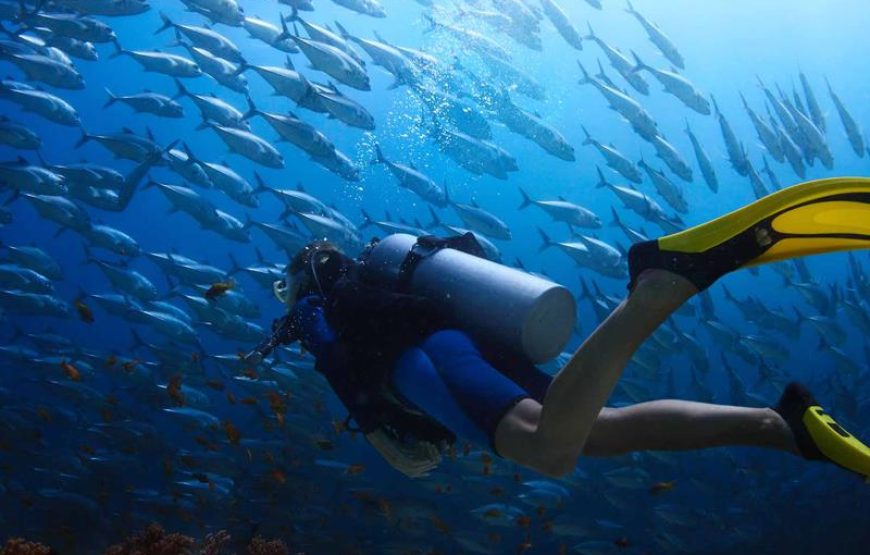 Alanya Diving Tour