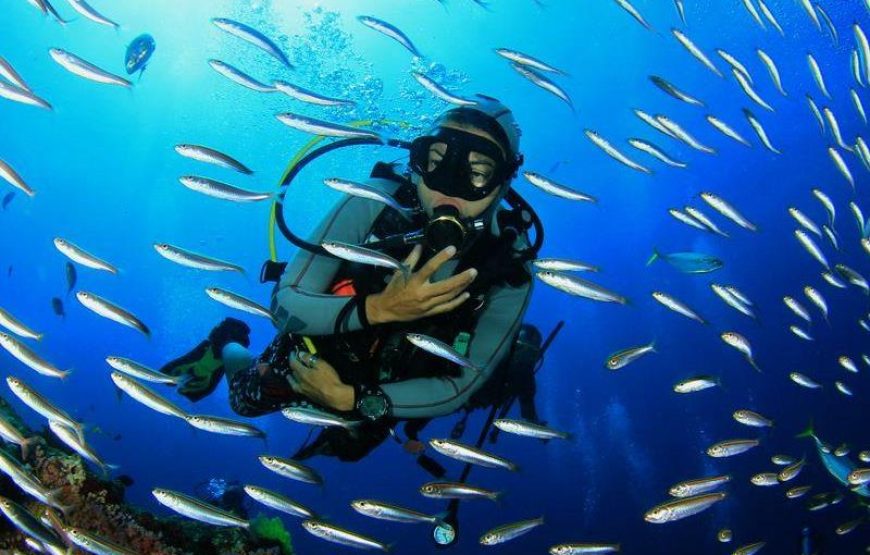 Alanya Diving Tour