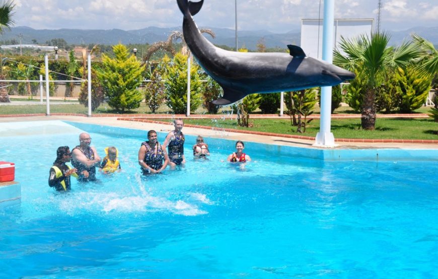Alanya Dolphin Show