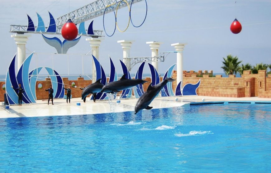 Alanya Dolphin Show