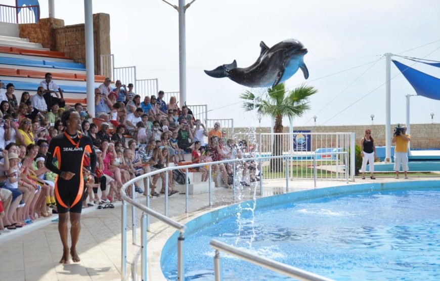 Alanya Dolphin Show