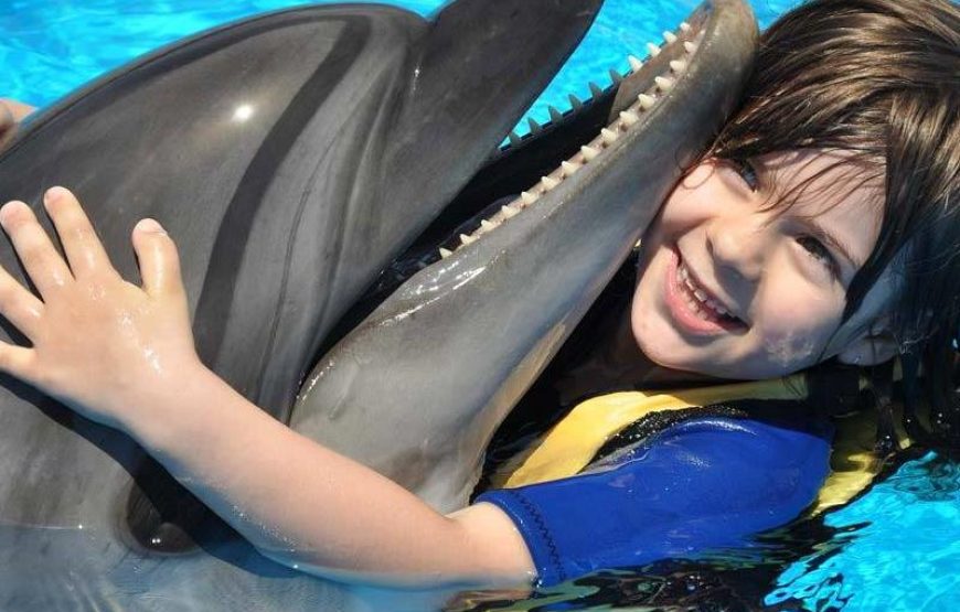Alanya Dolphin Swim