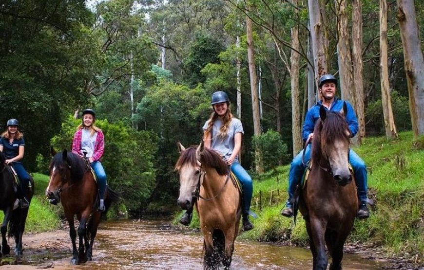 Istanbul Horse Riding